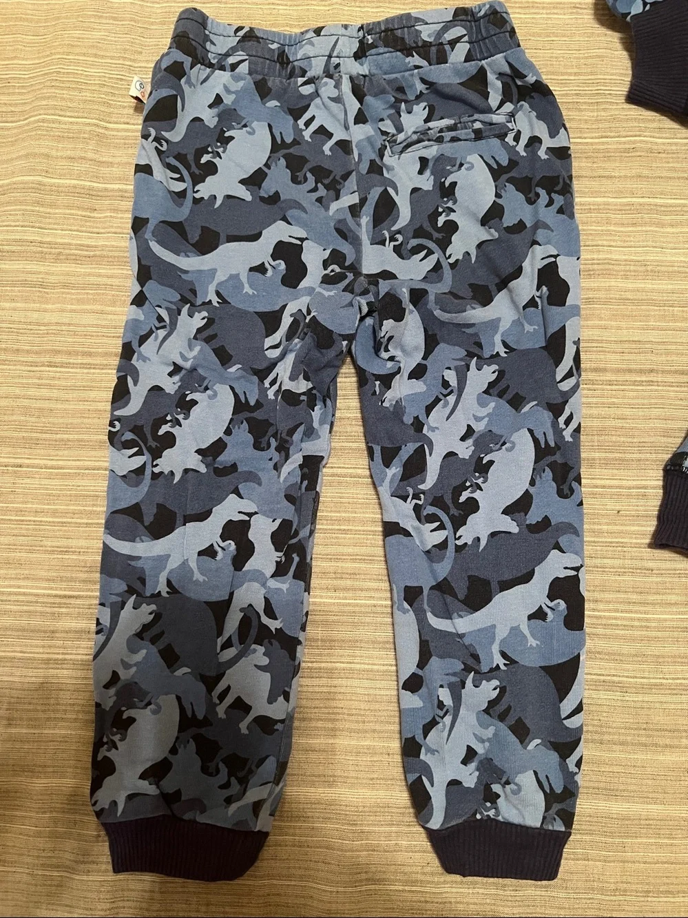 Flapdoodles Hoodie and Sweatpants Set